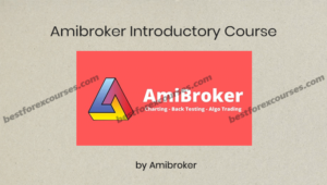 amibroker introductory course