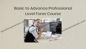 forex trading basic to advance professional level course