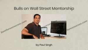 bulls on wall street mentorship