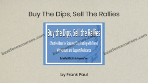 buy the dips sell the rallies