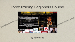 forex trading beginners course