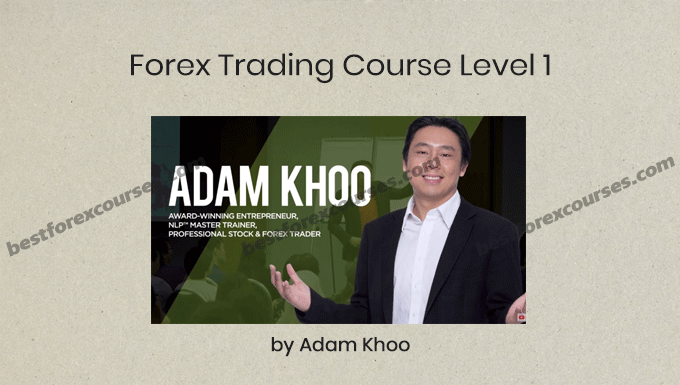 Forex Trading Course Level 1 by Adam Khoo (Pip Fisher)