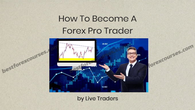 how to become a forex pro trader