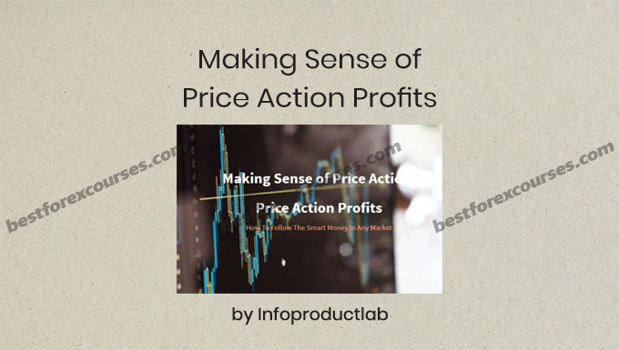 making sense of price action profits