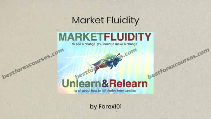 Market Fluidity by Forex101