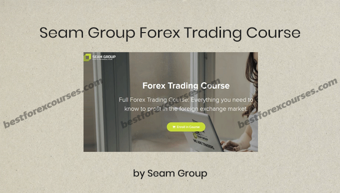 seam group forex trading course