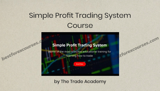simple profit trading system