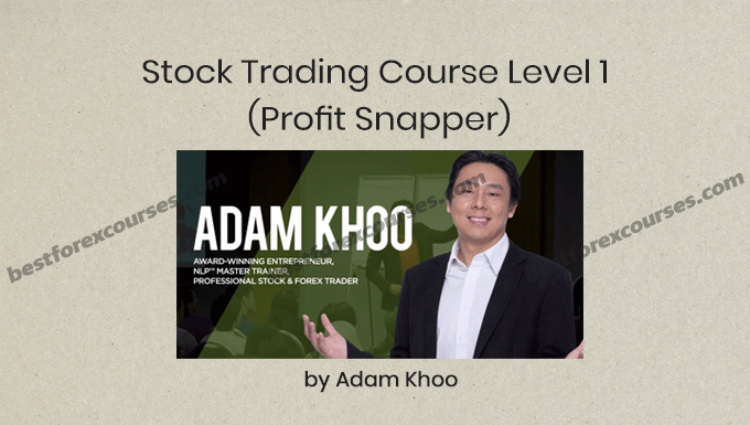 stock trading course level 1