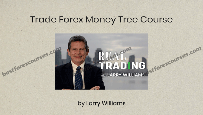 trade forex money tree course