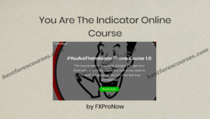 you are the indicator online course