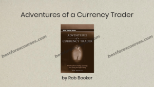 adventures of a currency trader