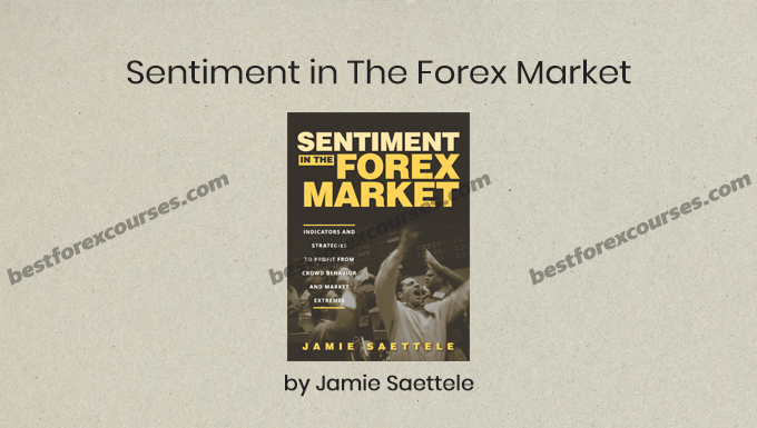 sentiment in the forex market