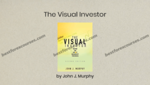 the visual investor