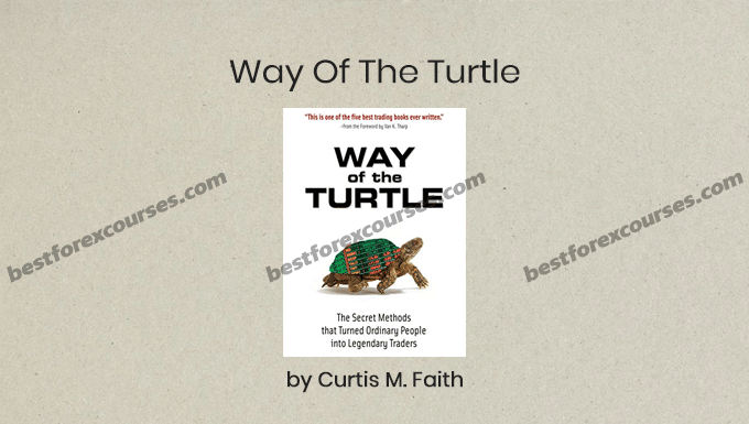 way of the turtle